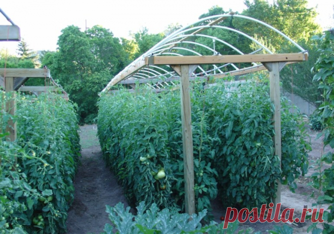 Шпалеры для дачи и огорода своими руками | 6 соток