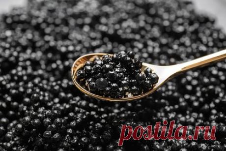 В роскошном особняке задержанного мэра Кизилюрта нашли десятки банок черной икры. В особняке мэра Кизилюрта Магомеда Магомедова прошли обыски. Об этом сообщает Telegram-канал Shot. Из роскошного дома изъяли оружие, коллекцию дорогих часов и десятки банок черной икры. Кроме того, силовики нашли документы, подтверждающие причастность Магомедова к преступлению.