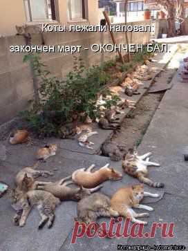 Одноклассники