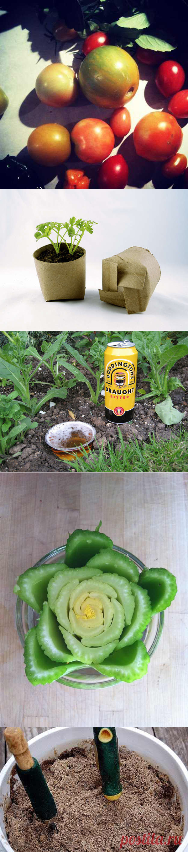 Хитрости для садоводов-любителей — Мой дом