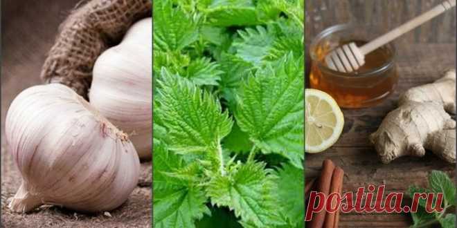 Дневник anngol