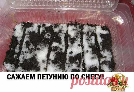 (49) Одноклассники