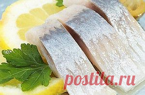 МАРИНАДЫ ДЛЯ СЕЛЬДИ: 6 ВИДОВ ВКУСНЫХ МАРИНАДОВ | |
