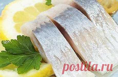 МАРИНАДЫ ДЛЯ СЕЛЬДИ: 6 ВИДОВ ВКУСНЫХ МАРИНАДОВ | |