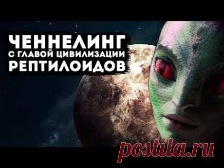 Ченнелинг с главой цивилизации Рептилойдов.