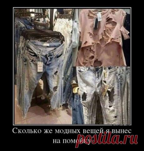 А ведь и правда...