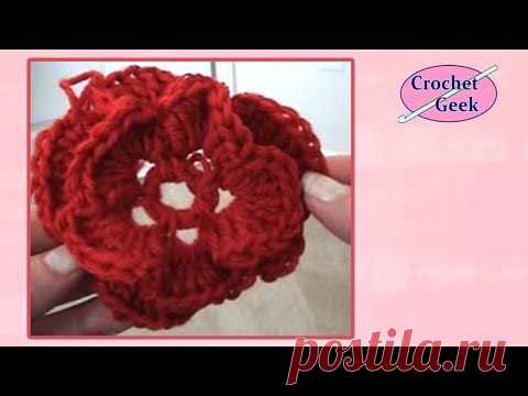 Очень красивый цветочек!!!