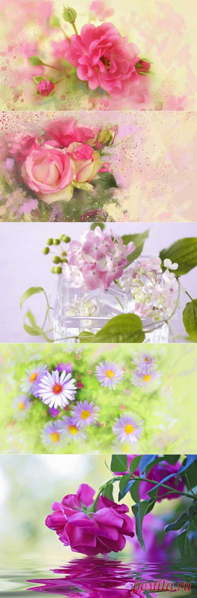 цветочные фоны.