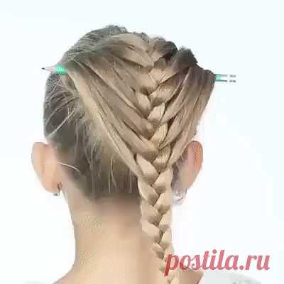 (56) Одноклассники