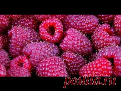 ХИТРАЯ ЗАМОРОЗКА ЯГОД