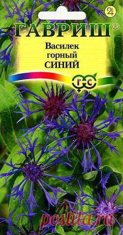 Василек многолетний "Синий"