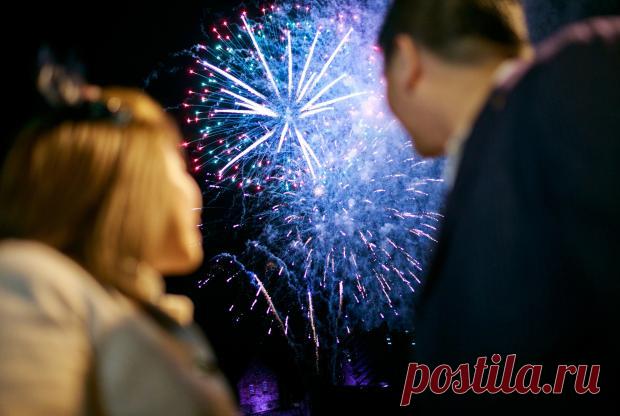 В новогоднюю ночь в Риме погибли сотни птиц: во всем виноваты салюты