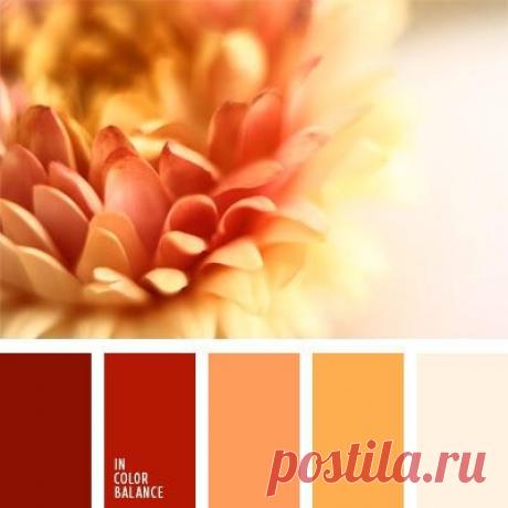 сочетание цветов