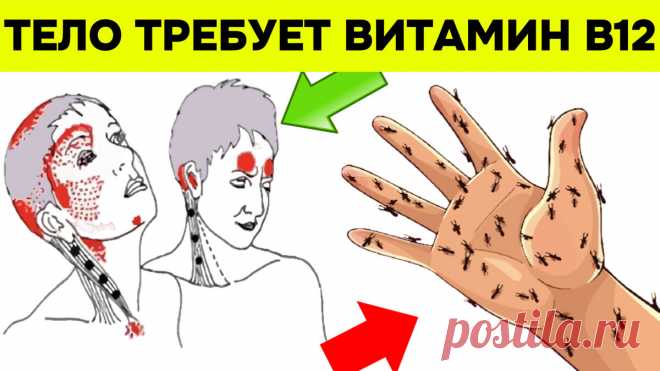 Обратите внимание на эти сигналы: 10 признаков того, что ваше тело требует витамин В12 | Игорь Ботоговский | Дзен