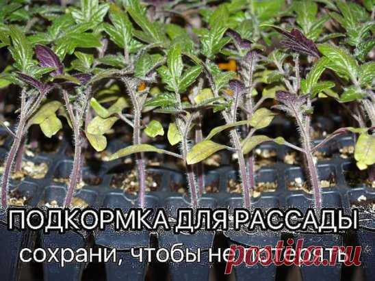 (48) Одноклассники