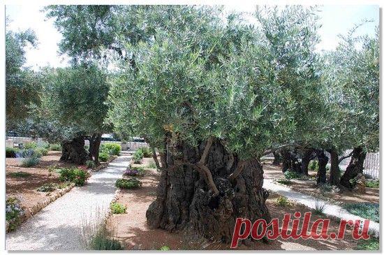 28 августа - праздник Успения