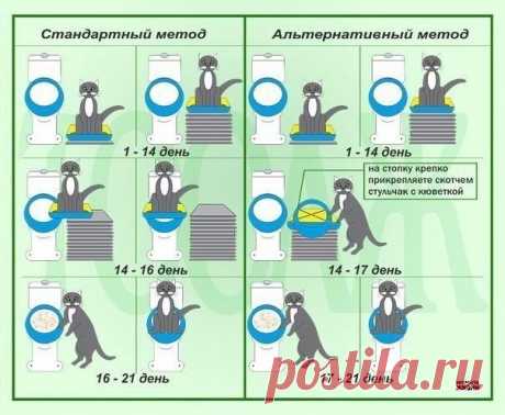 ОНА ЗНАЕТ|| Рукоделие. Вязание.