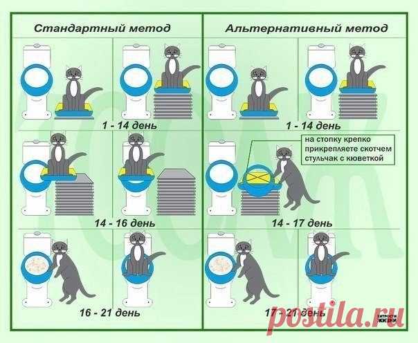ОНА ЗНАЕТ|| Рукоделие. Вязание.
