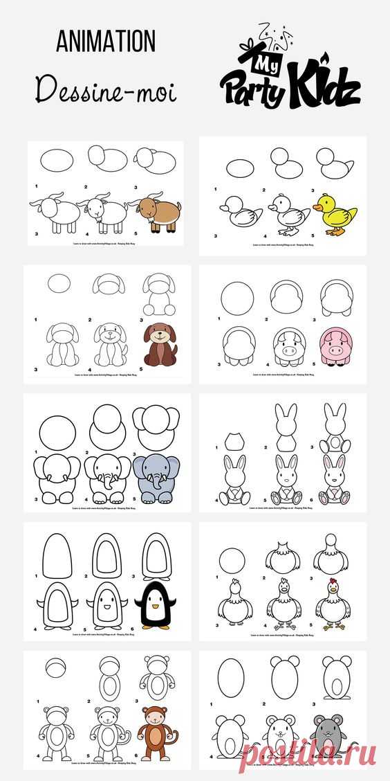 Dessins pas à pas Animaux