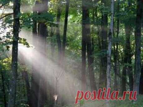▶ Santa Esmeralda - You're My Everything - YouTube