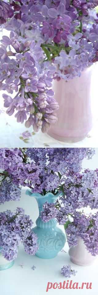 Варенье из сирени