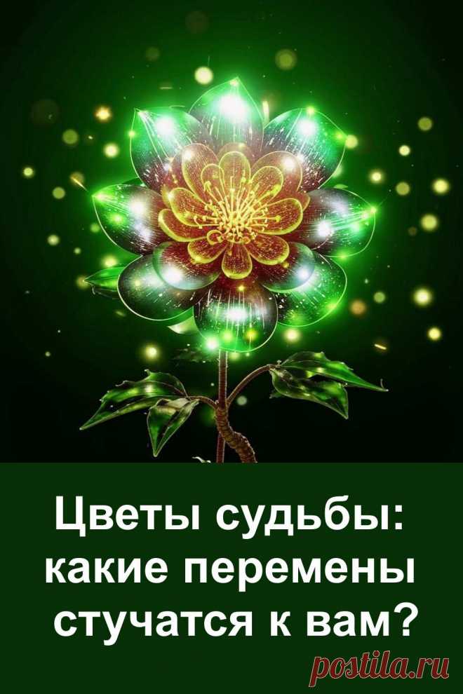 Интуитивный тест по выбору цветка подскажет, какие важные перемены уже идут в вашу жизнь. Всё, что нужно — просто почувствовать, какой цветок притягивает сильнее. Ответ удивит своей точностью и поможет понять, чего ждать в ближайшем будущем. Лёгкое и увлекательное предсказание, которое может многое изменить.