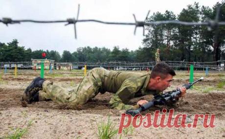 Американец о русских снайперах: «Этот детский сад мы перещелкаем как куропаток»