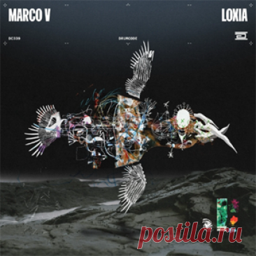 Marco V - Loxia | 4DJsonline.com