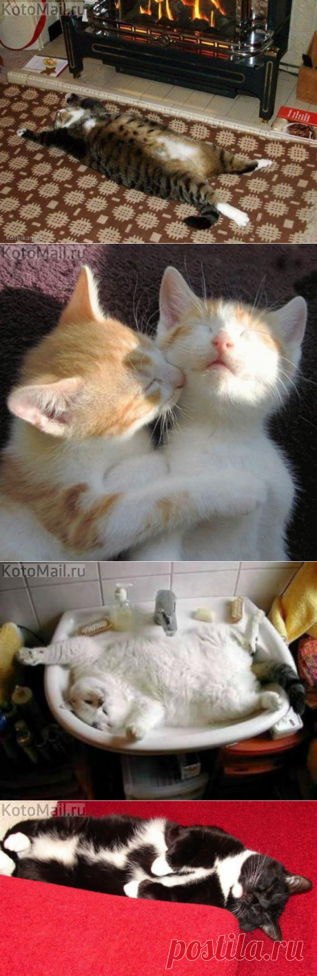 Кайфую | KotoMail.ru