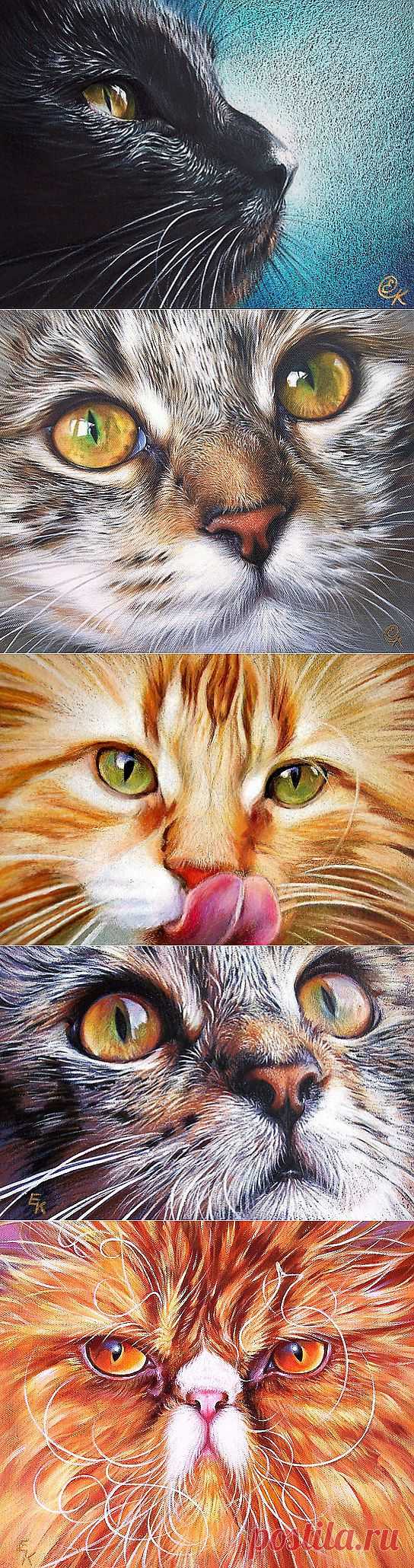Блоги@Mail.Ru: Австралийская художница Elena Kolotusha (cat)