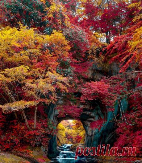 #Япония@discoverygroup