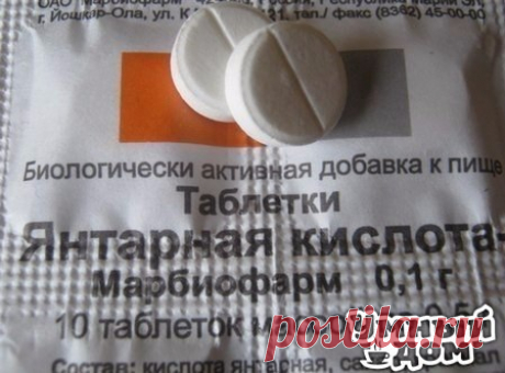 СТИМУЛЯТОР РОСТА для цветов Продавец в цветочном магазине однажды уговорил меня купить янтарную кислоту: мол, это средство удивительно стимулирует рост растений и переборщить с ним невозможно. Дома я развела 1 г. порошка на 5 л. воды, полила и опрыскала раствором все домашние растения. Результат был обалденный! И стал заметен уже через неделю: - Марантовые выпустили новые листья и побеги. - Понравилась подкормка и бегониям: вечноцветущая, например, дала сразу 4 мощных боковых побега, усилилось…