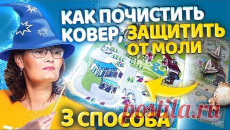 ПОЧИСТИТЬ КОВЕР от СТОЙКИХ ПЯТЕН и ПЛЕСЕНИ. Устранить ЗАПАХ МОЧИ, ЖИВОТНЫХ, ЗАТХЛОСТЬ.