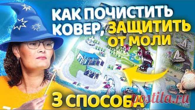 ПОЧИСТИТЬ КОВЕР от СТОЙКИХ ПЯТЕН и ПЛЕСЕНИ. Устранить ЗАПАХ МОЧИ, ЖИВОТНЫХ, ЗАТХЛОСТЬ.