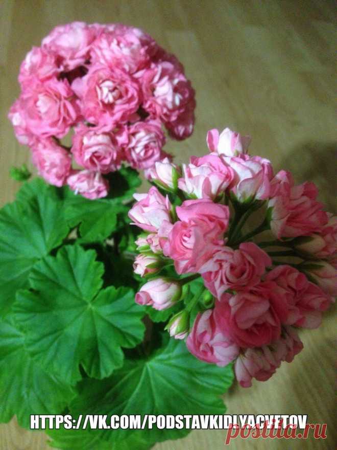 (45) Одноклассники