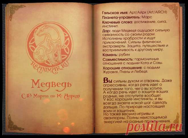 Кельтский гороскоп