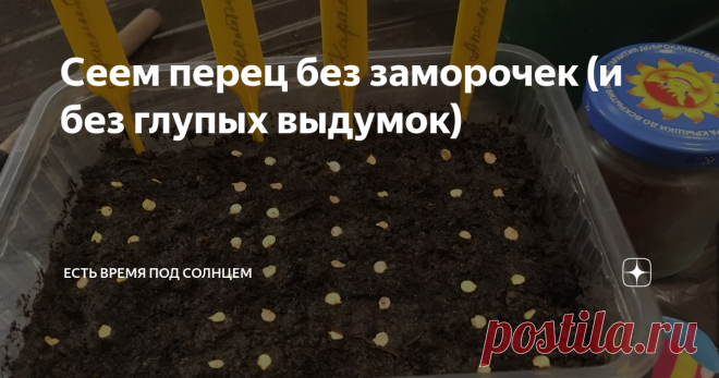 Сеем перец без заморочек (и без глупых выдумок) Перец я сею самым первым в сезоне. Но не в отдельные горшочки (как например огурцы на этом фото), а сначала в общую емкость...
Про выдумки и про посадку
Я буду рассказывать про огородные выдумки о перце, о том кто и зачем пишет глупости. А параллельно (в подписях под фотографиями) расскажу о  простоте посева и выращивания перца.
Кто придумал и зачем такие сложности