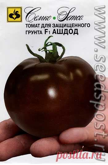 a2324b4c_62b7_11e5_8ad4_3c4a92d5c739_09a55b37_7f1d_11e5_b17f_3c4a92d5c739.jpeg (350×532)