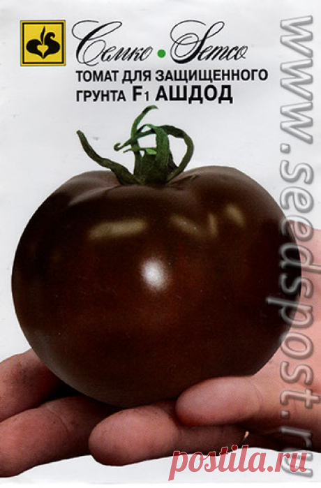 a2324b4c_62b7_11e5_8ad4_3c4a92d5c739_09a55b37_7f1d_11e5_b17f_3c4a92d5c739.jpeg (350×532)