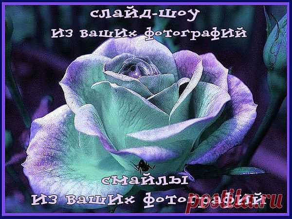 СДЕЛАЮ РОЛИК ИЗ ВАШИХ ФОТОГРАФИЙ, СТОИМОСТЬ 300 РУБЛЕЙ...