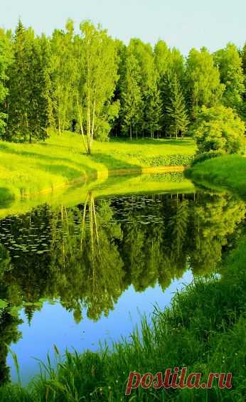 Наша Планета – Google+