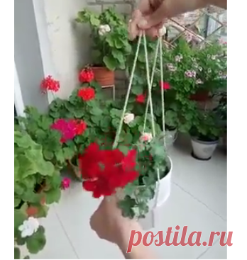 Кашпо на скорую руку.