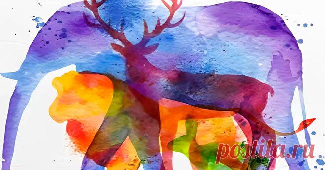 Тест: Узнайте, какая черта вашей личности наиболее заметна /Олень

Вы благородный человек, высоко ценящий свое чувство собственного достоинства, поэтому не терпите лжи и агрессии. Вы всегда сохраняете честное и открытое отношение в различных ситуациях. Однако ваши принципы тверды, и вам трудно от них отступить, даже когда этого требует ситуация. Прежде чем принимать решения, вам нужно не торопиться, чтобы действовать логически. Иногда вы стремитесь избегать серьезных ситуа...