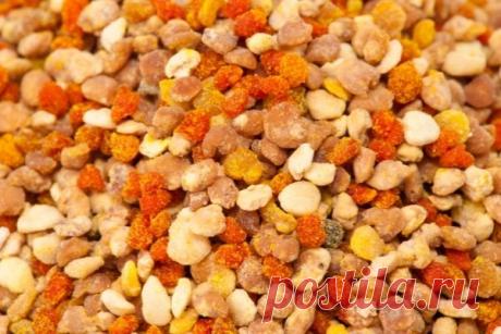 Перга: как правильно принимать и хранить целебный продукт? - LadySpecial.ru