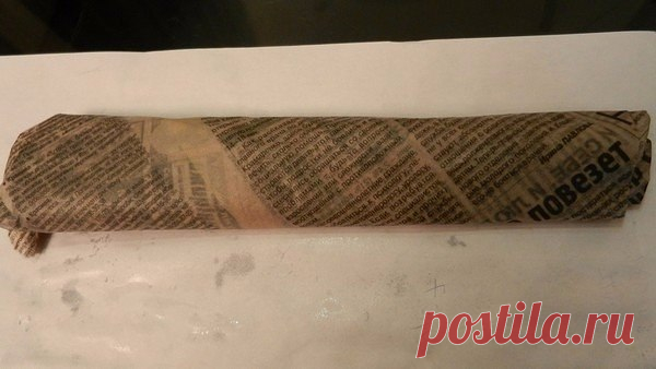 Размножение роз методом буррито
