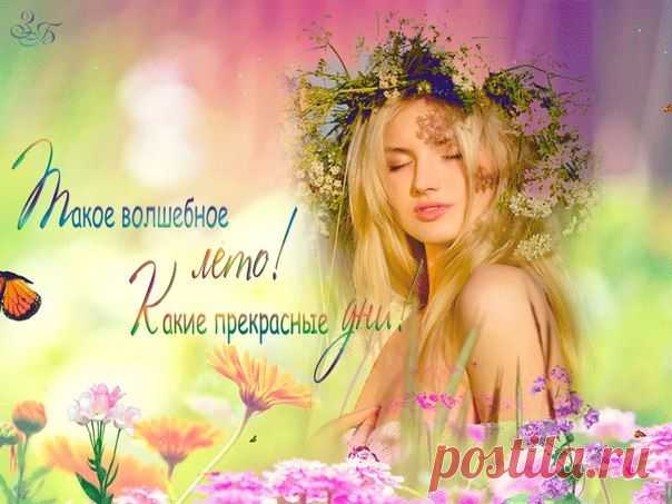 ╭დ╯СВЕТ ДУШИ╭დ╯