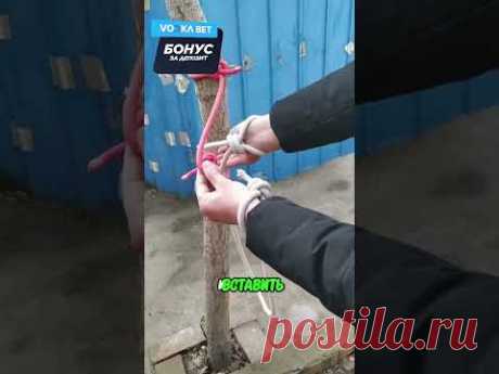 Секретный трюк с веревкой 🤯
