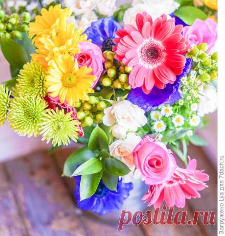 Цветы для срезки: рейтинг. Когда и как срезать