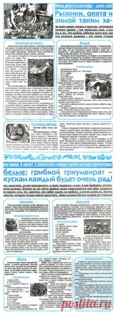 Грибы на зиму