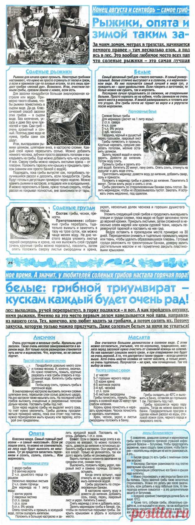 Грибы на зиму